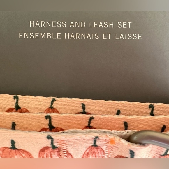 Dog London‎ Harness and Leash Set with Pumpkins Fall Harvest Sydney & Co. Sz L - Picture 7 of 10